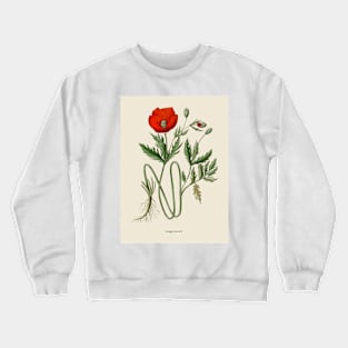 Red Poppy Antique Botanical Illustration Crewneck Sweatshirt